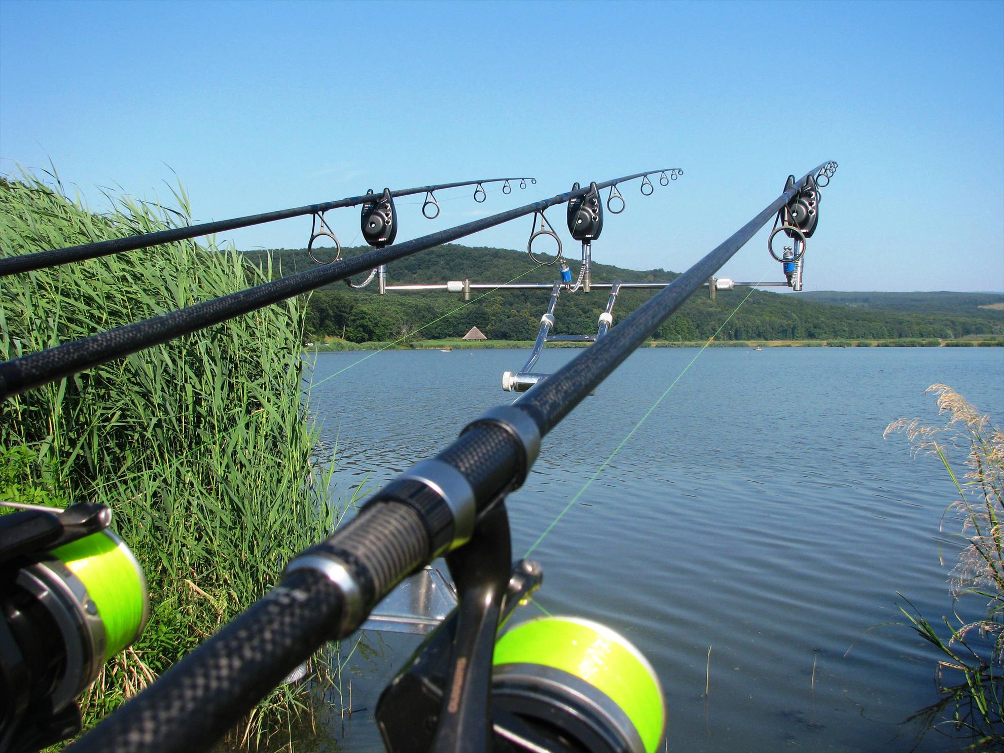 Harsany 21 - 27 iul. - img0177.JPG